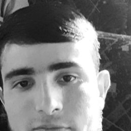 , 24, 