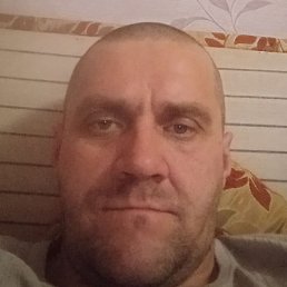 ������, ������, 43 ����