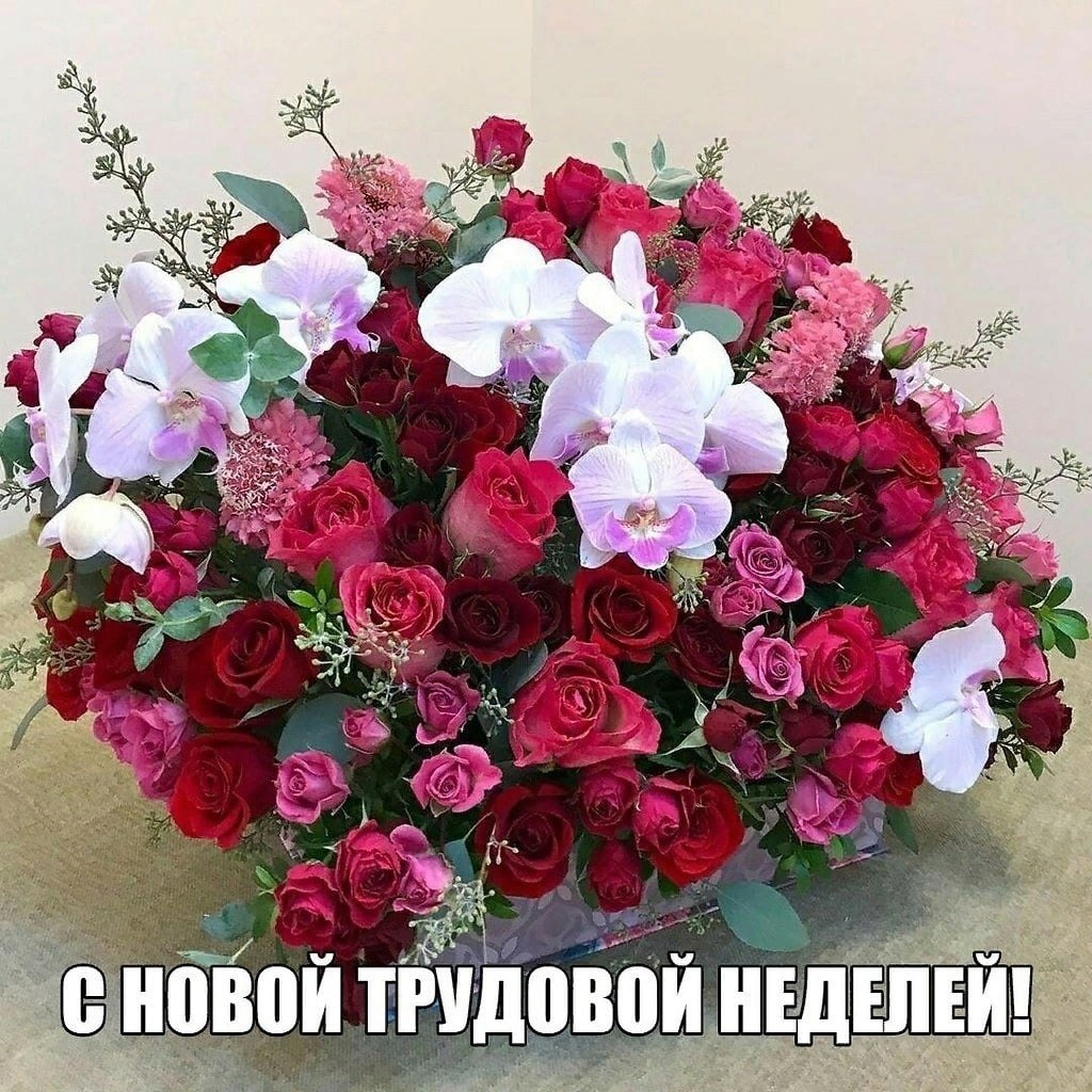   ,    . - 20  2025  23:32