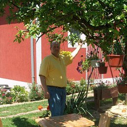 aleksandar, 57, 