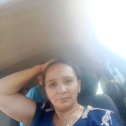 �����, 41 ���, ���