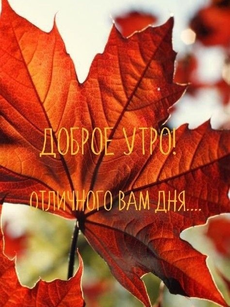   ,    . - 2  2025  23:19