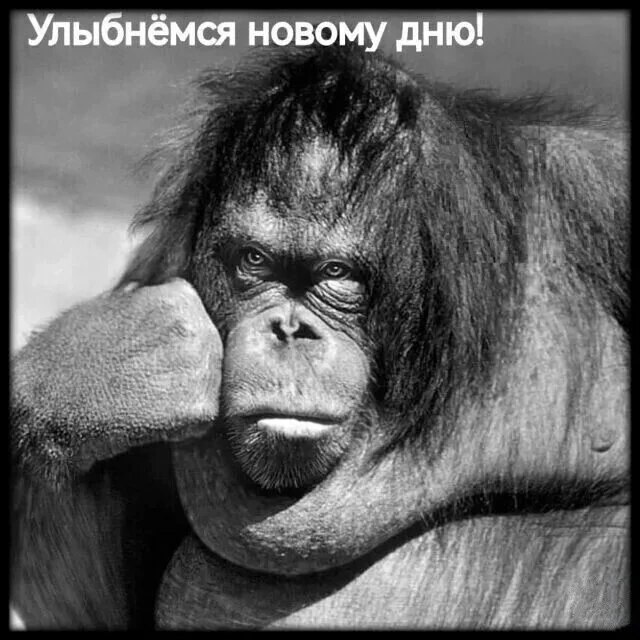 Alex - 24 ������� 2026 � 07:47
