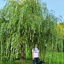 ���� �������, ������ - ��������� 15 ������� 2025 � ������ ���� ����������