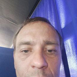 , 41, 