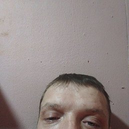 ������, ���������, 37 ���