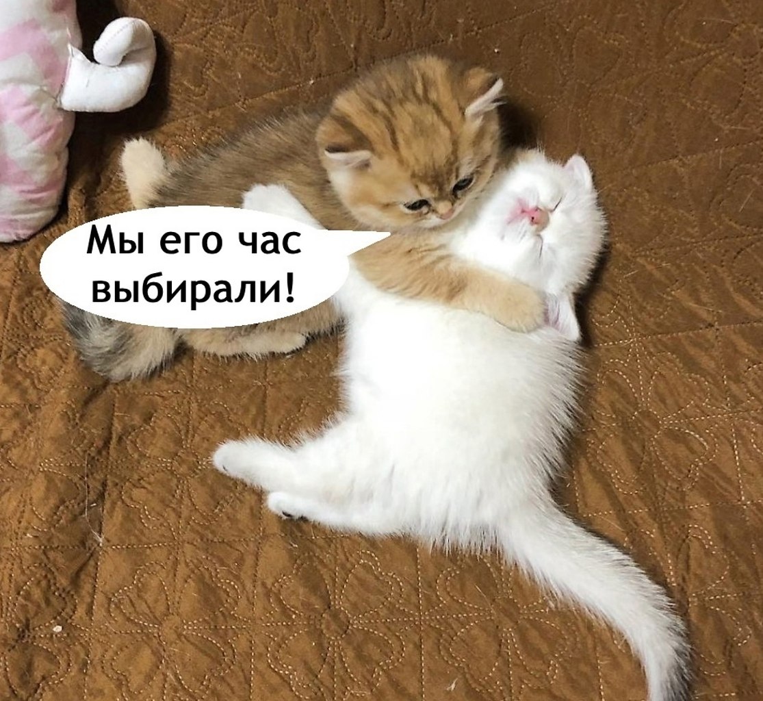   ,   - 2