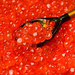 �����, ������, 53 ����