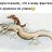 ���� �����, ������, 40 ��� - ��������� 31 ������� 2024