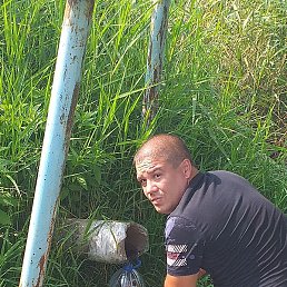 ���������, ������, 41 ���