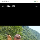  ,  , 50  -  11  2025    