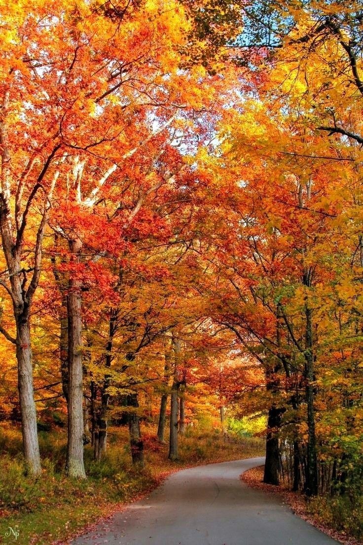 ���� ����������.��������, ������ ���� ����������������, ������ ���� ��������.� ���� ������� ...