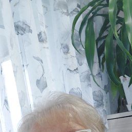 ���� ������, �������-���������, 66 ��� - ��������� 30 ������� 2025