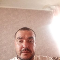 , 41, 