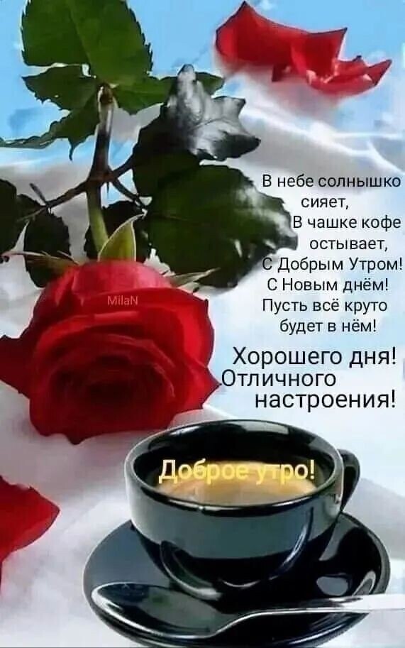 ***Victoria Viktorovna*** - 6  2025  09:59