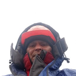 , 49, 