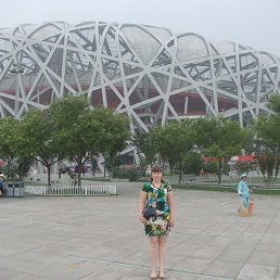 ���������, ����, 41 ���