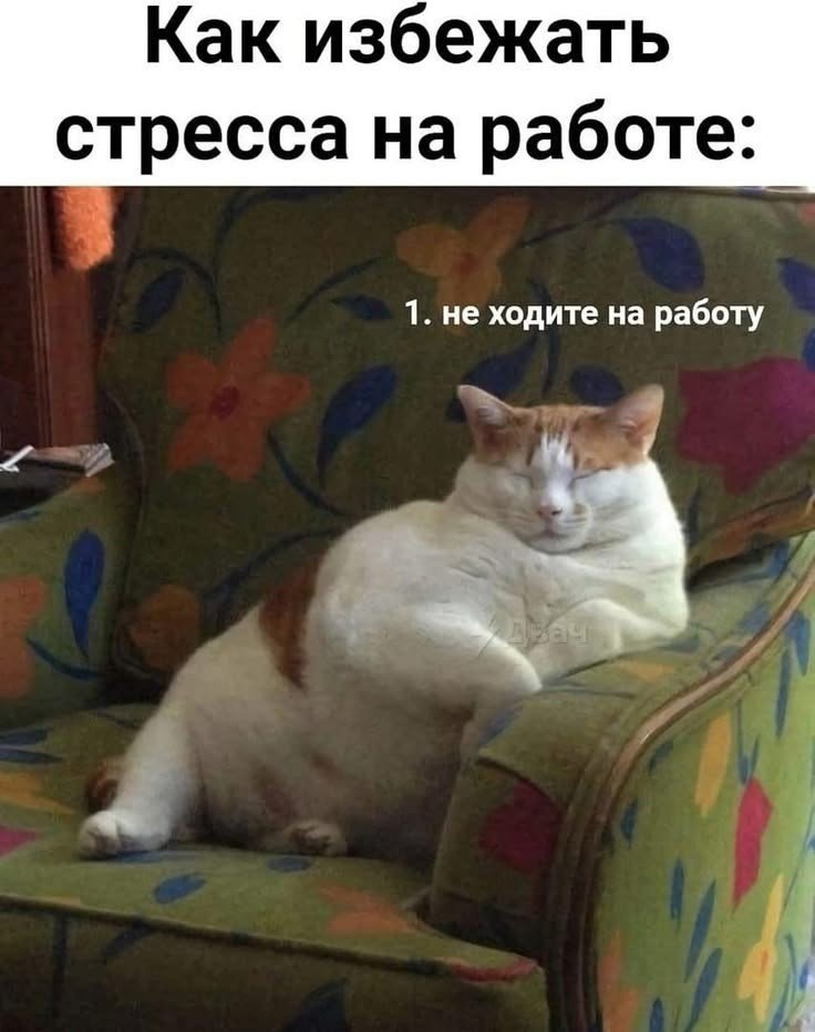   - 7  2025  12:42