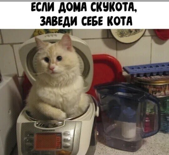 ☆ ☆ - 14  2024  21:34
