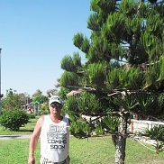 , 58 ,  