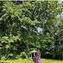 ���� ������, �������, 39 ��� - ��������� 24 ����� 2024 � ������ ���� ����������