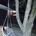 ���� �������, ������ ��������, 43 ���� - ��������� 6 ������ 2024 � ������ ���� ����������