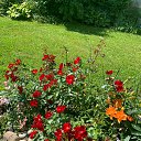 ���� S, ����� - ��������� 16 ���� 2026 � ������ ���� ����������