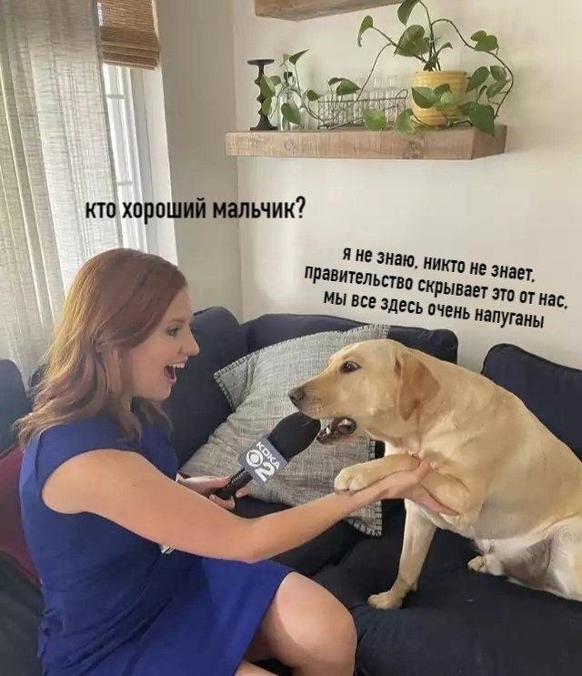 Каждый имеет право на счастье. Друзья мем. Цитаты о тайной влюбленности. На все вопросы ответит время цитаты. Твой человек цитаты.