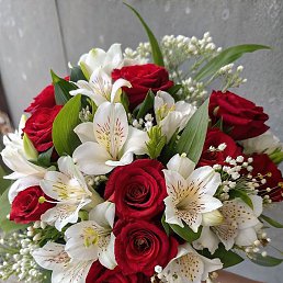 �����, �����������, 44 ����