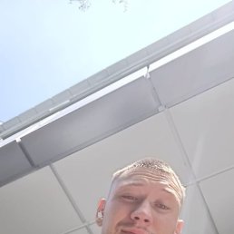 , 29, 