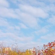 ���������, 64 ����, ������