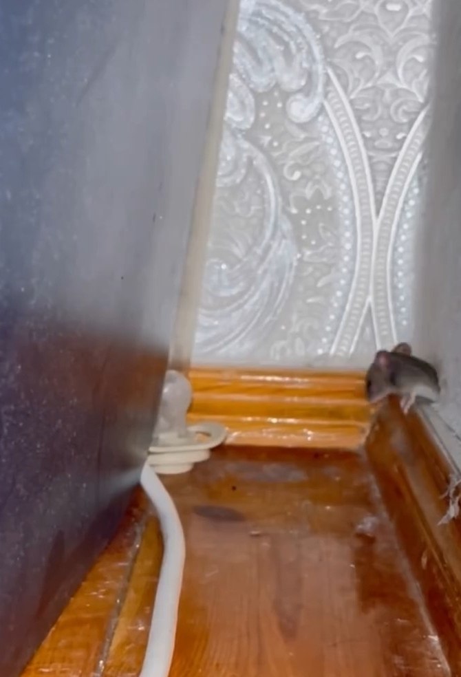 ,     ?     , , ,   .  ...