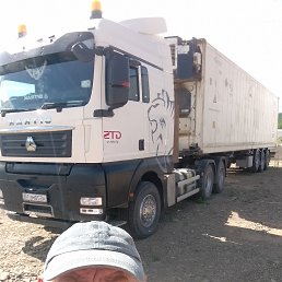 , 41, 