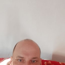 ������, 43 ����, �������