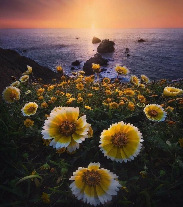 ����� ������� ������, ������� �� ������ ������� � �����, ��� ��������� ������� ������� ������. � ...