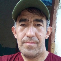 ��������, �����-���������, 46 ���