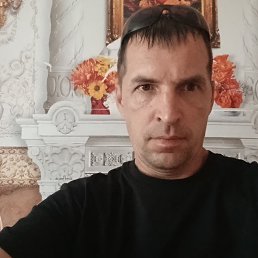 ����, 41 ���, ������