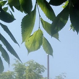 , , 53 