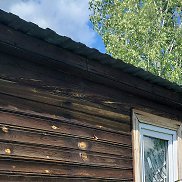 �������, 44 ����, ������