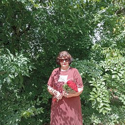 ���� �����, ���������, 68 ��� - ��������� 31 ������� 2024