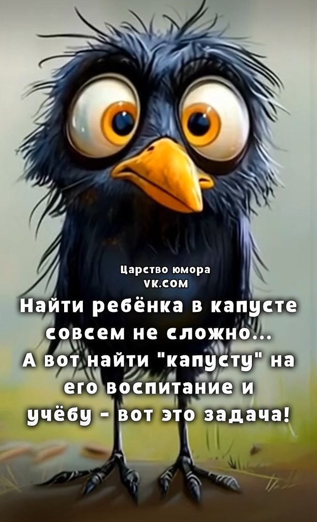  - 25  2025  22:23