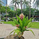  ""****"",  -  6  2025