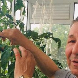 ����� �������, �������, 61 ���