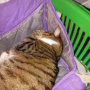 �������� ������������� �����, ��� ��� � ������ �� ���� �����. �� ������� ���� ����������