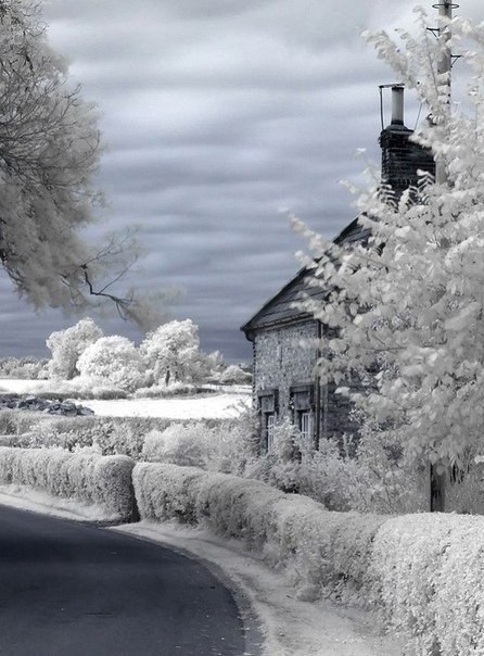 ������� � ������: 