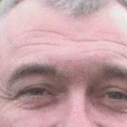 , 53 , 