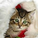 ���� ������ �������, �����������-��-�����, 61 ��� - ��������� 2 ������ 2026