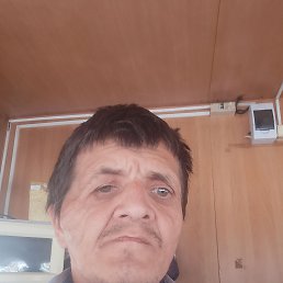 , 48, 