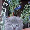 ���� ������, ����������� - ��������� 17 ������ 2025 � ������ ������ ��������