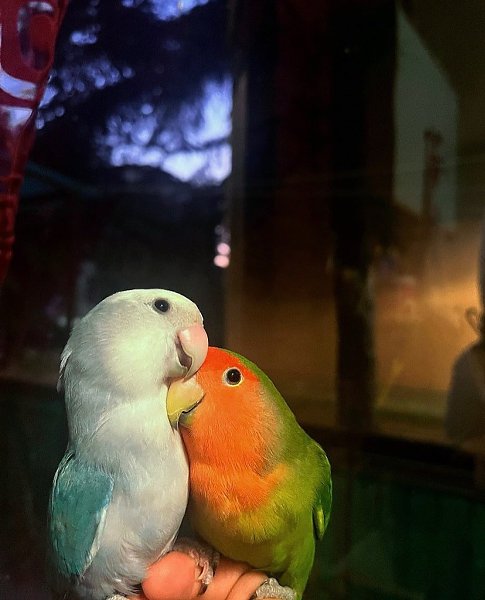 ��� ��� ����� � �� ������ ����, � ��������� ����������� ����. ��� ������ �����, ��������� ����� � ... - 3